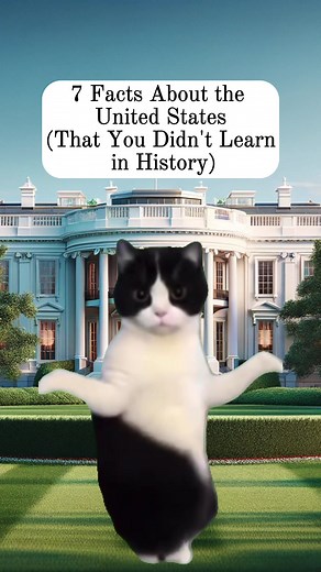 Discover the Weird and Funny Side of U.S. History | Part 1