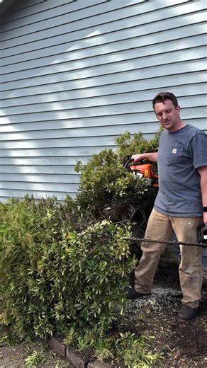 7.6K views · 169 reactions | Jam packed episode Stumps, bushes, small engine repair, gardening, and general knackery. #hedger #stihl #barnbrothers | The Barn Brothers | Facebook