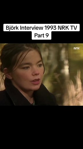 Björk Interview 1993 NRK TV Part 8 #bjork #bjorklive #bjorktok #thesugarcubes #pregnant