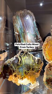 74K views · 10K reactions | You don’t always have to go to one of the...