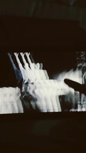 Film of the Day: Tarzan and His Mate (1934)