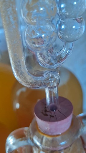 We have fermentation #cider | The Funky Farmer