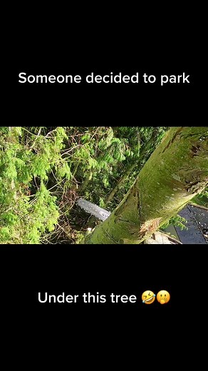 Park like a Tw@t 😂😂 #height #climbing #cut #tree #trees #pov #gopro #goprohero8 #iphone #fypシ #fyp