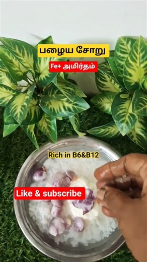பழைய சோறு பலன்கள் | Rich in Vitamin B6 & B12 | Pazhaya Soru Benefits Tamil | Shorts#ytshorts