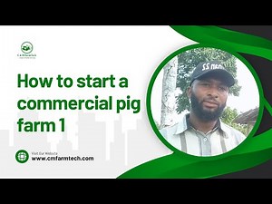 How I Started a Commercial Pig Farm in Nigeria
