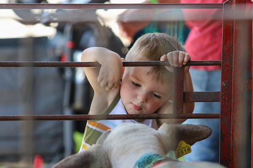Dodge County Fair – Wednesday, August 19th, 2026 – Dodge County Fairgrounds