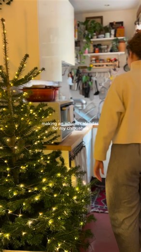 If there’s one thing about me, l’ve always been a bit extra at Christmas, so making Lola her advent calendar every christmas is a must! It’s my absolute favorite time of year, and I can’t help myself sometimes but be festive 😂 And if you thought this was extra, stay tuned tomorrow when I show the advent calendar I made for Lev!! I’ve linked some of the tools and cookie cutters I used for this in my linktree under “tools used”! Link is in my bio If you’d like to make your puppy one too, here’s t