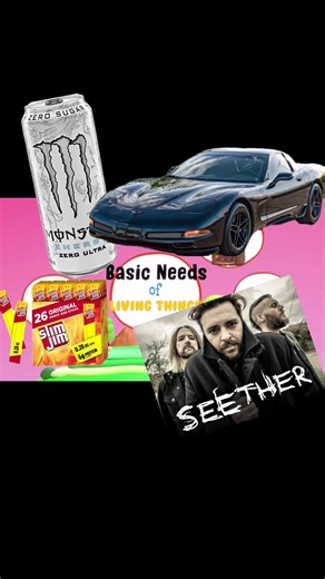 Everything You Need to Know About Slim Jims and Seether