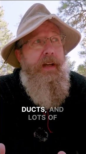 The "Best Case" Cancer Diagnosis? Unpacking Ductal Carcinoma's Reality.