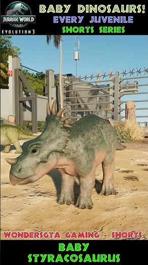 Baby Styracosaurus - Juvenile Dinosaur Series - JWE3 Showcase