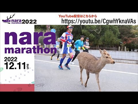 奈良マラソン2022
