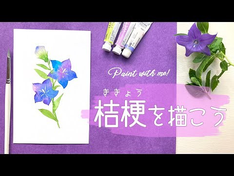 秋に美しい！キキョウの描き方❀【水彩の花イラスト】How to draw balloon flowers