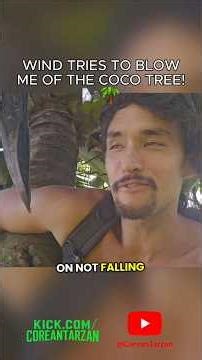 🌬🌴 WIND ALMOST BLOWS ME OFF COCO TREE! I had to go up or go insane.