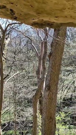 Maquoketa, Iowa - Maquoketa Caves State Park 5