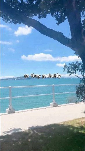 Scicon Cycling Sock Review