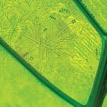 Welcome: Sustainability and Computing Special Section