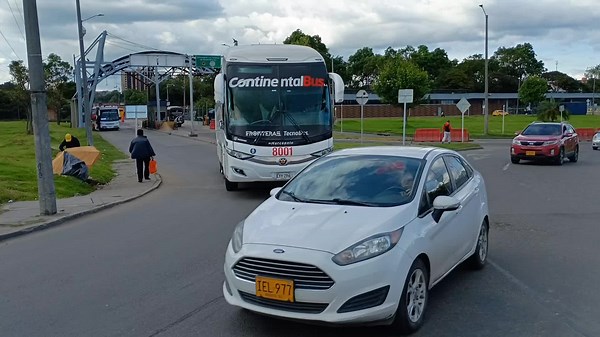 amante de los buses on TikTok