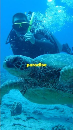 Top 5 Scuba Diving Spots in Malaysia!