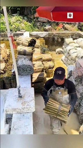 Making Chinese Paper at Home 😱