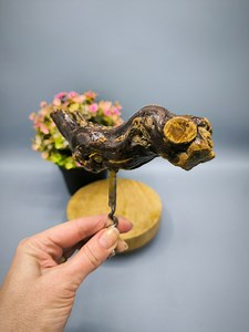 Vintage vine corkscrew, French corkscrew 1980s, collectible corkscrew in the form of an animal figure, a gift for a wine lover, man