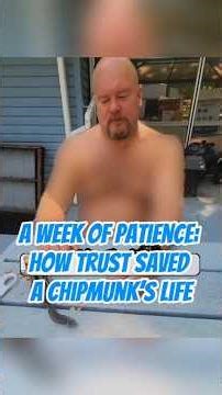 A Week of Patience: How Trust Saved a Chipmunk’s Life #shi