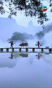 196K views · 8.5K reactions | absolutely beautiful and fantastic places | Primitive Media | Facebook