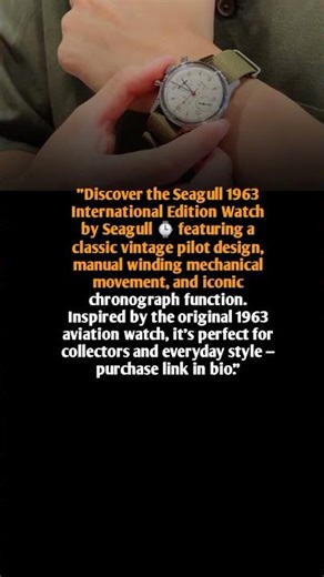 Seagull 1963 Pilot Watch – ST1901 Mechanical Chronograph Vintage ⌚