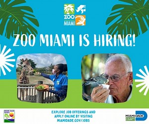 #ZooMiami is hiring! Join our amazing team by exploring job options and applying here: https://www.miamidade.gov/global/humanresources/jobs/home.page 🦒 | Zoo Miami