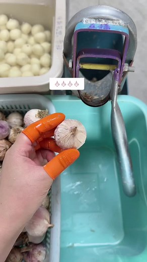 How to Peel Garlic Quickly and Cleanly