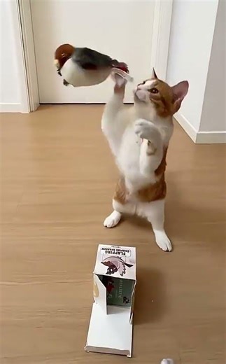 Soaring Wings: The Ultimate Interactive Flying Bird Toy