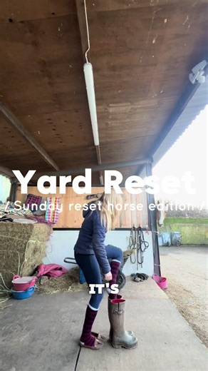 Horse Yard Reset: Equestrian Cleaning Routine