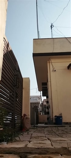 bowling from outside the backyard but still can't miss the target 🎯🔥🏏