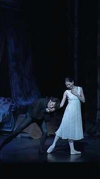 Onegin | The Complex Role of Onegin - Aaron Robison