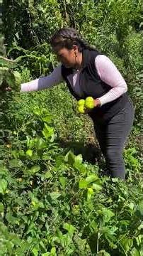 Que Feliz Estoy Así de Grandotes y Jugosos Están, Ya Hay Limones , Las Recetas de Vicky Official