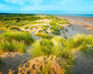 International Guidelines on Natural and Nature-Based Features for Flood Risk Management - Engineering With Nature