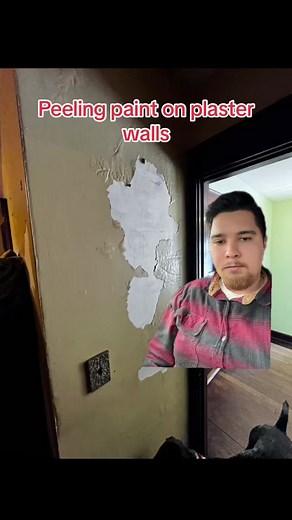 How to: peeling paint on plaster walls #thepaintdoctorct #paint #paintingoldhouses #plasterwalls #peelingpaintoffthewalls #skimcoat