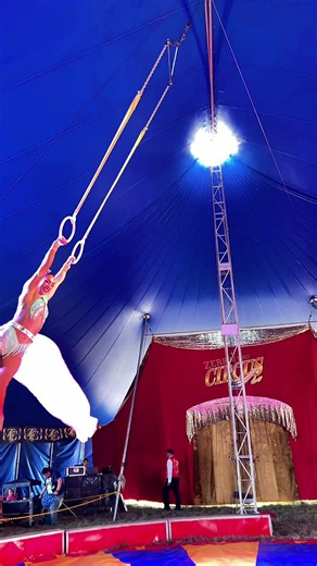 #shewasafairy #romanrings #circusarts #showgirl #aerialist