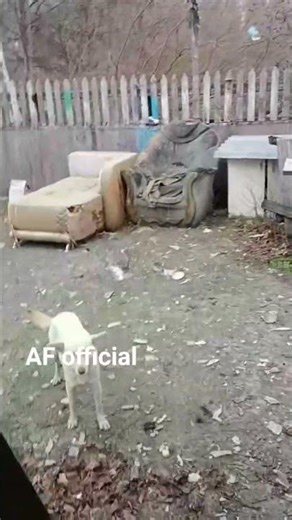 Ukrainian soldiers are resting in civilian housing in a rural area #shorts