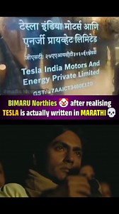 Bimaru Northies 🤡🤡🤡 | Viral Marathi