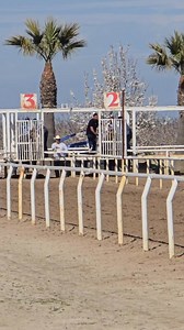 8.3K views · 137 reactions | CHUY VERDURAS VS NACHITO CORONEL C. JACALITOS VS C. MOCHOMOS #seguidores | Ricardo Ramirez | Facebook