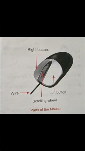 Parts of Mouse #easylearning #computer #class 1 #trendingshorts #viralvideo #shorts