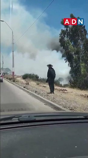 Incendio forestal en Parque Coll obliga a evacuar sector