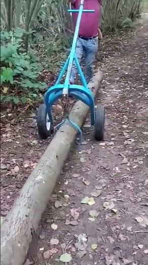 Transportation process of wood with creative tools