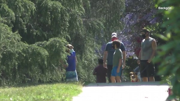 Colin Farrell and son Henry take their dog for a walk in LA