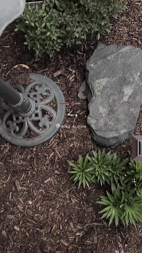 aronialandscapeinc on TikTok