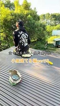 【18日目】遂にトタン屋根を貼ります。 小屋作り編 #空き家を手に入れた高校生 #diy