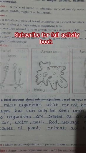 Science Activity Standard 7 Experiment 14 #science #7thstandard