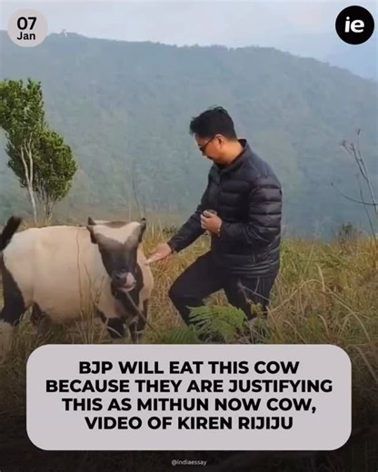 INDIA ESSAY on Instagram: "Union Minister Kiren Rijiju making a remark about cattle terminology, referring to a ‘mithun’ as a cow, which has drawn attention and sparked debate online. The clip, shared widely with various captions, has prompted discussion among netizens about animal classification, language use, and political commentary."