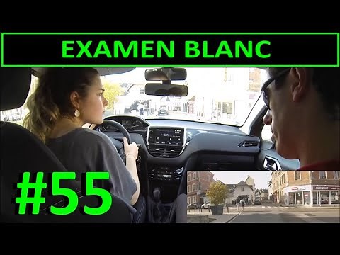 Driving Licence Practice Test #55