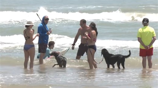 Going to South Padre Island this spring break? You may spot a shark, experts say